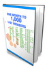 Thumbnail 1 Month to 1000 List Members - With Master Resell Rights