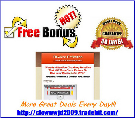 Product picture Flawless Reflection WordPress Minisite PLR + BONUS